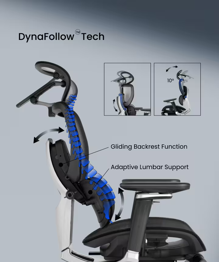 FlexiSpot C7 Morpher Ergonomic Chair with Dynamic Back System